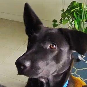 Meet your Posher, Sonya